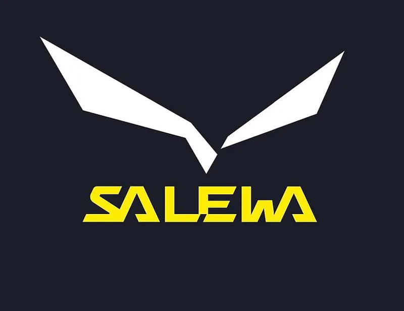Shop Salewa Footwear