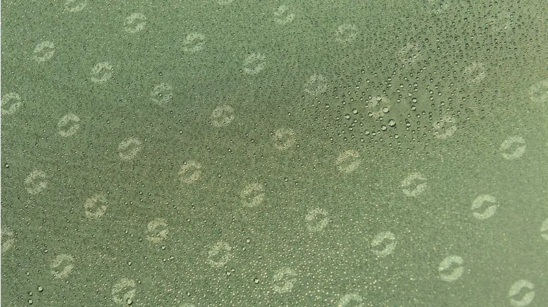 Outwell Demo Cedarville 5A Tent Package-8