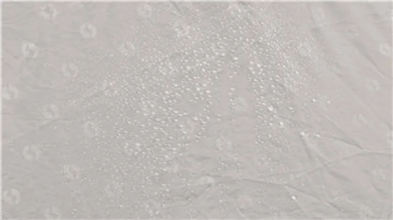 Outwell Scenic Road 250SA Inflatable Awning - 2019 Model-8