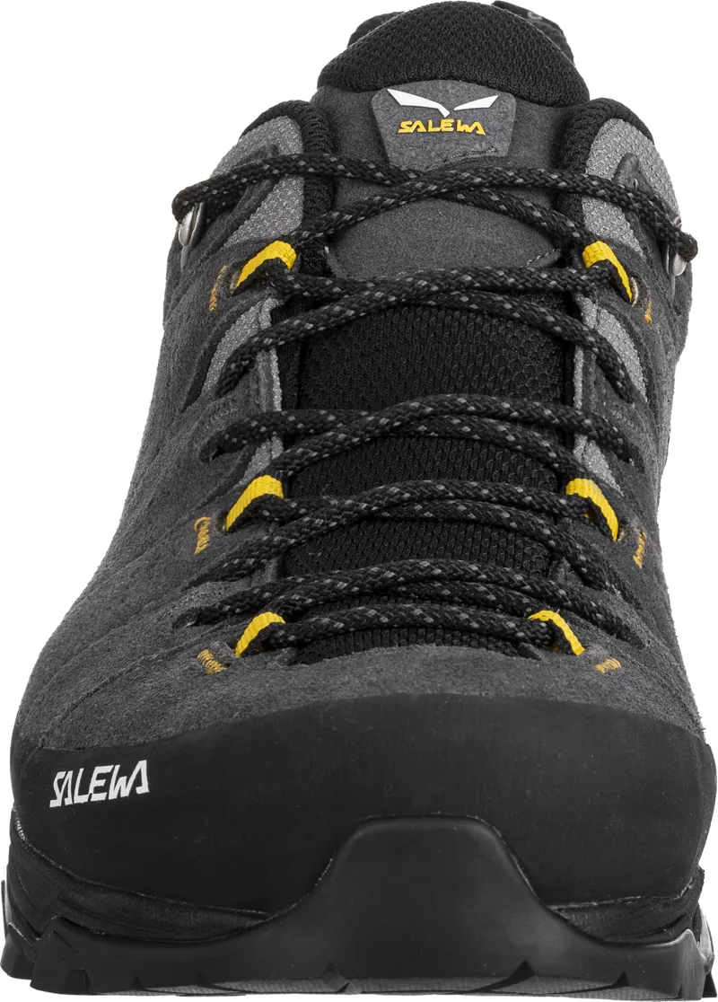 Salewa Mens Alp Trainer 2 GTX Shoes - Onyx-Black-4