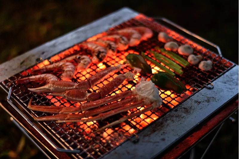 Snow Peak Fireplace Grill Bridge - L-1