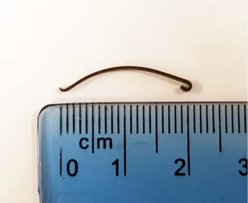 Victorinox Replacement Scissor Spring - Large-1