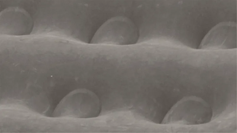 Outwell Excellent Airbed - King-1