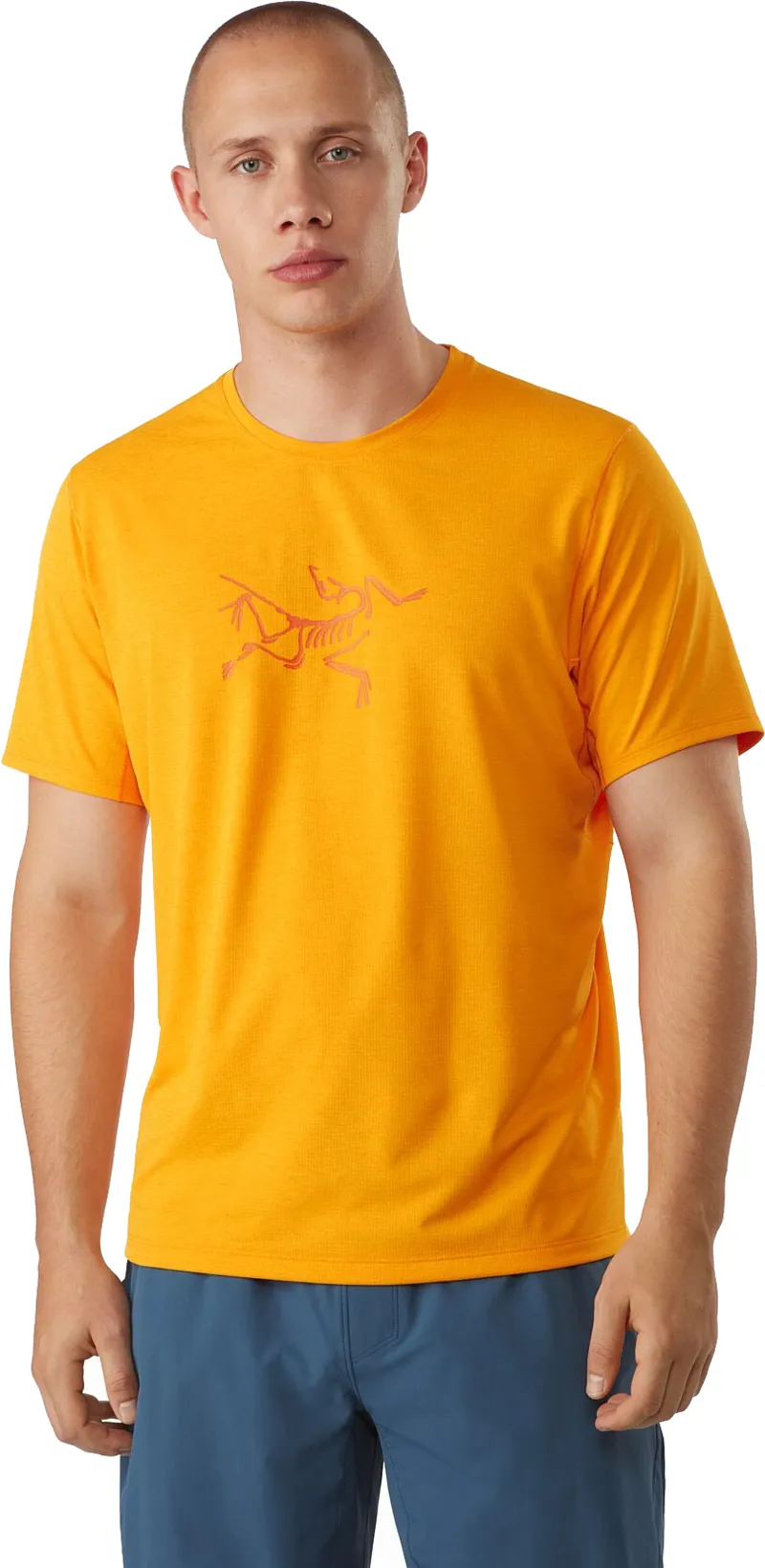 Arcteryx Mens Cormac Logo SS Tee - Kinetic-1