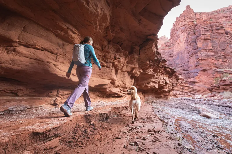 Osprey Daylite Cinch Rucksack - Black-3