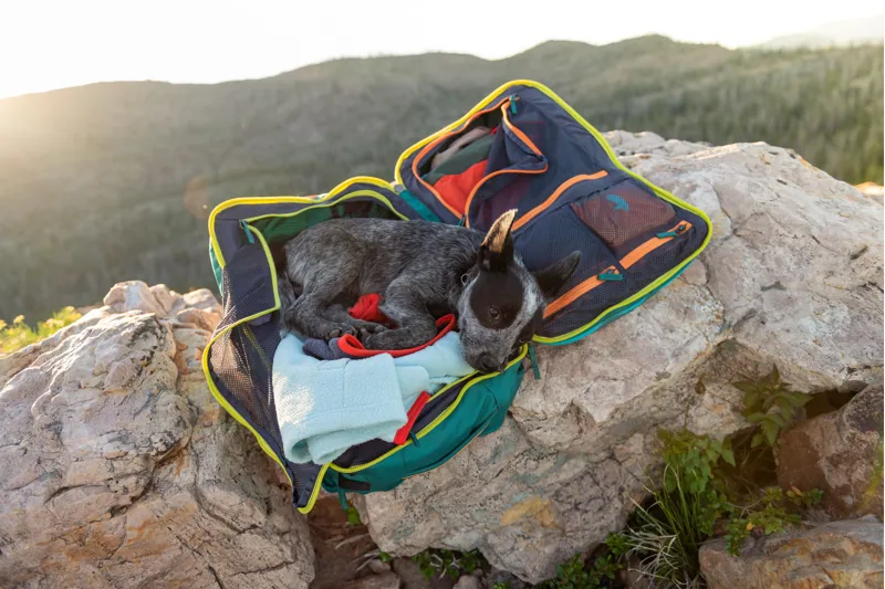 Cotopaxi Allpa 35L Travel Pack - Spruce-12