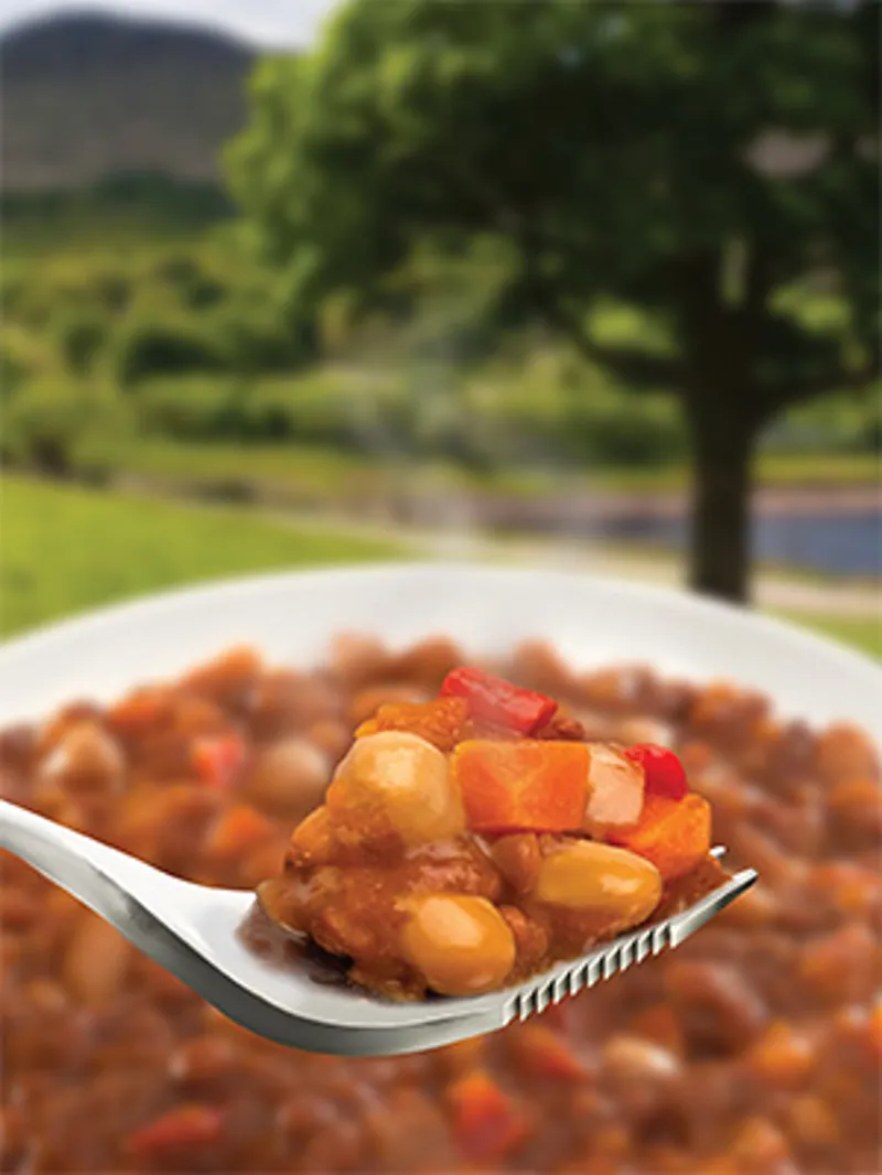 Wayfayrer Vegan Moroccan Bean Stew-1