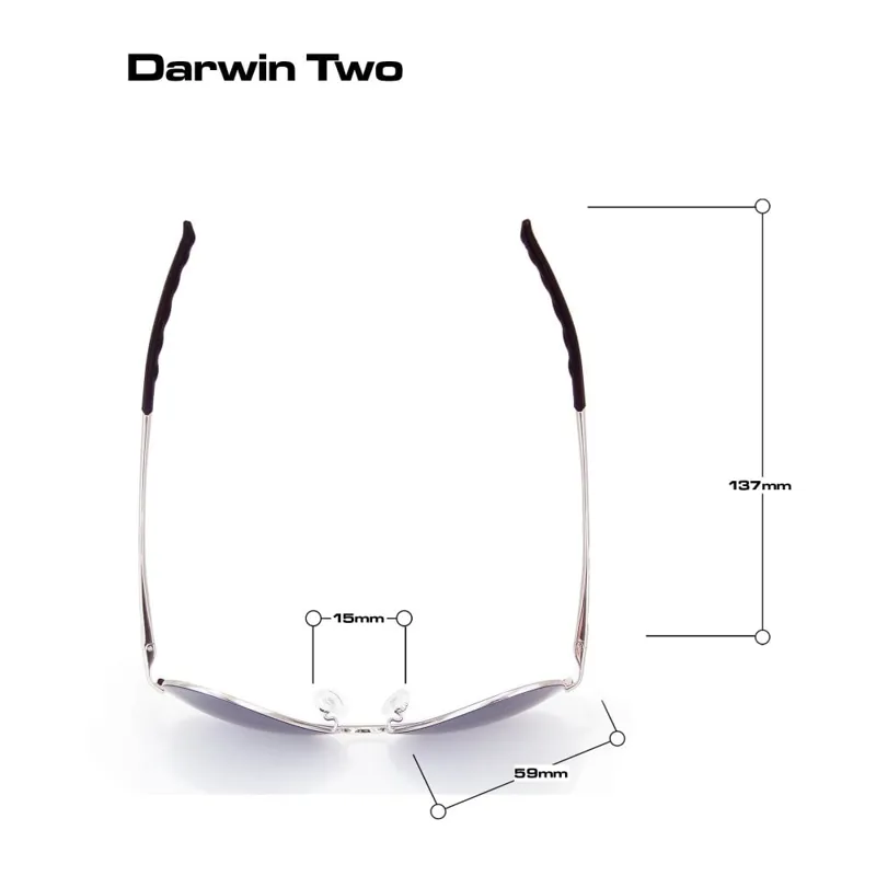 BLOC Darwin 2 Sunglasses - Gold-Brown Grad-1