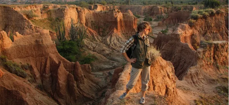 Paramo Mens Halcon Waistcoat - Capers-5