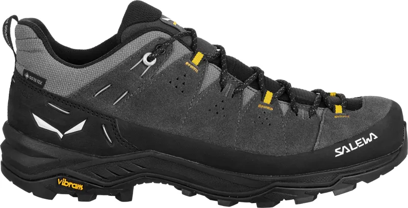 Salewa Mens Alp Trainer 2 GTX Shoes - Onyx-Black-1