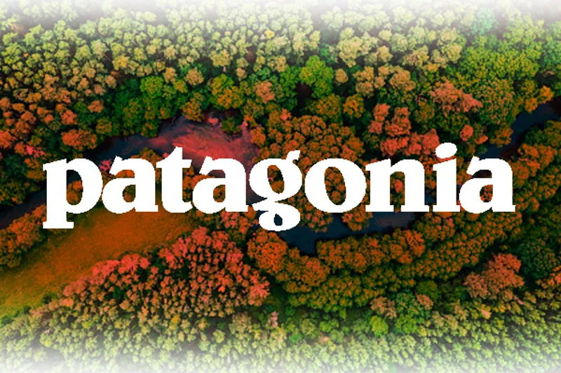 Patagonia Summer Sale