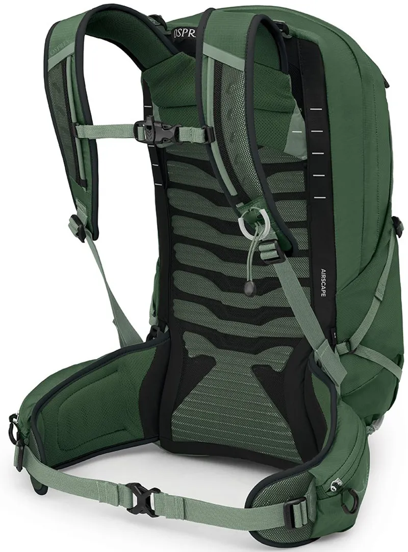 Osprey Talon 22 Rucksack - Green Canopy-Pine Leaf-3