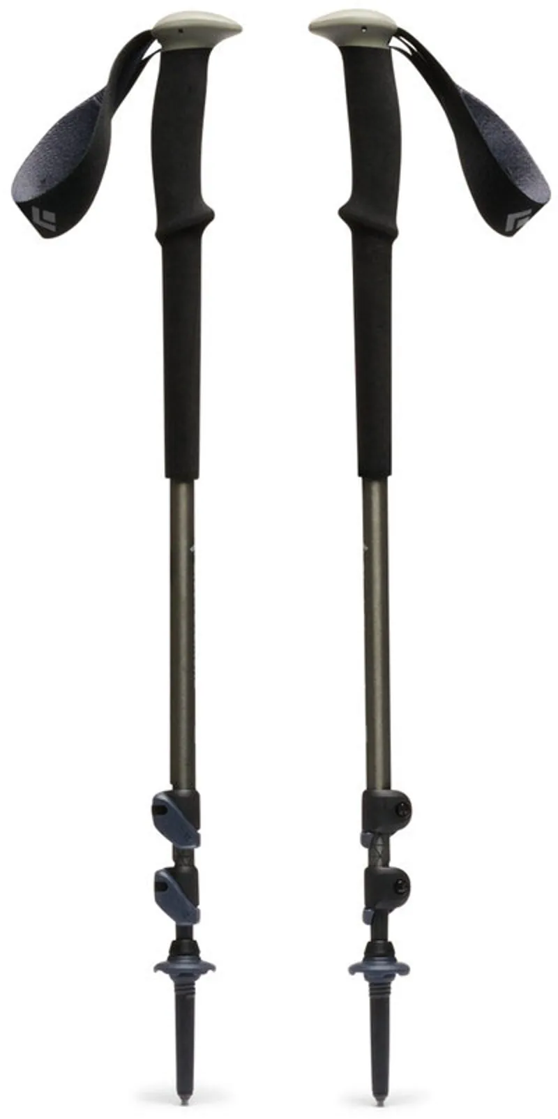 Black Diamond Trail Trekking Poles - Pine Smoke-1