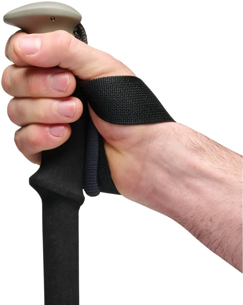 Black Diamond Trail Trekking Poles - Pine Smoke-5