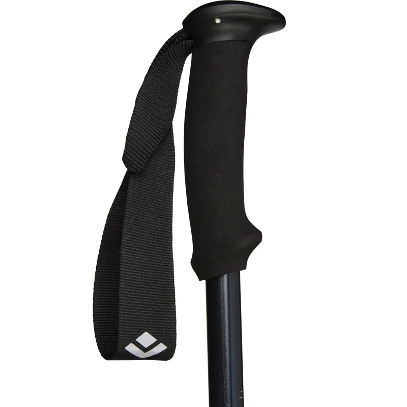 Black Diamond Explorer 2 Trekking Poles - Ink Blue - Pair-2