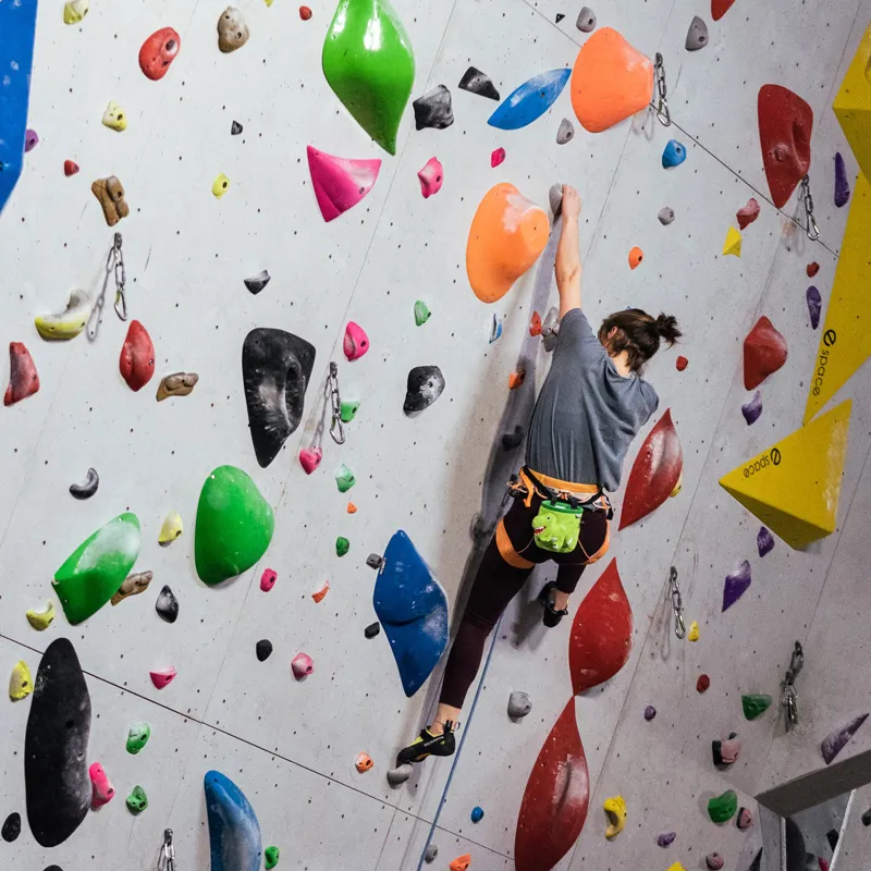 YY Vertical Chalk Bag - T-Rex-3