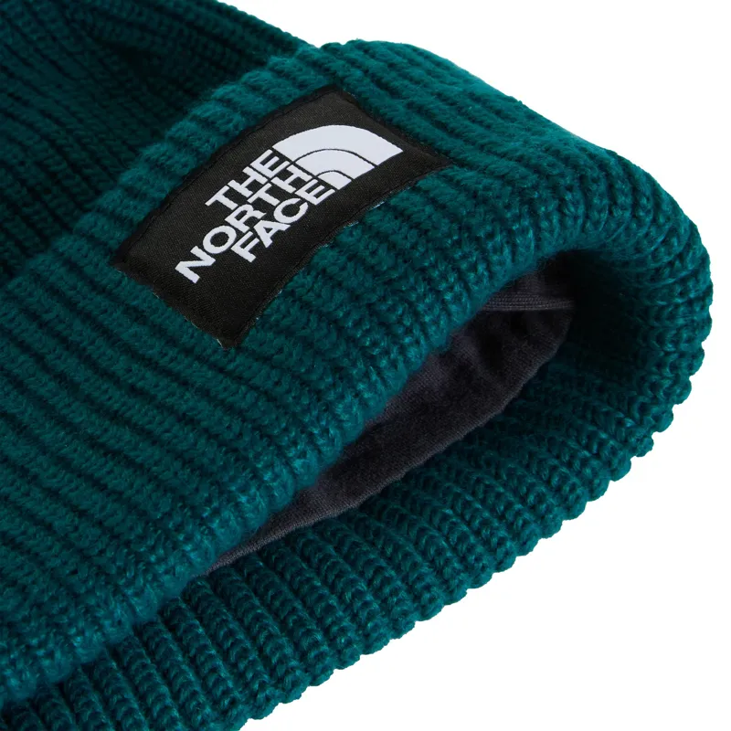 The North Face Salty Lined Beanie - Pacific Teal-1
