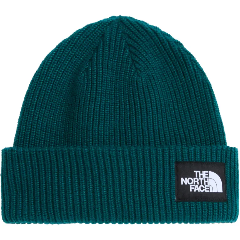 The North Face Salty Lined Beanie - Pacific Teal