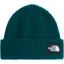 The North Face Salty Lined Beanie - Pacific Teal