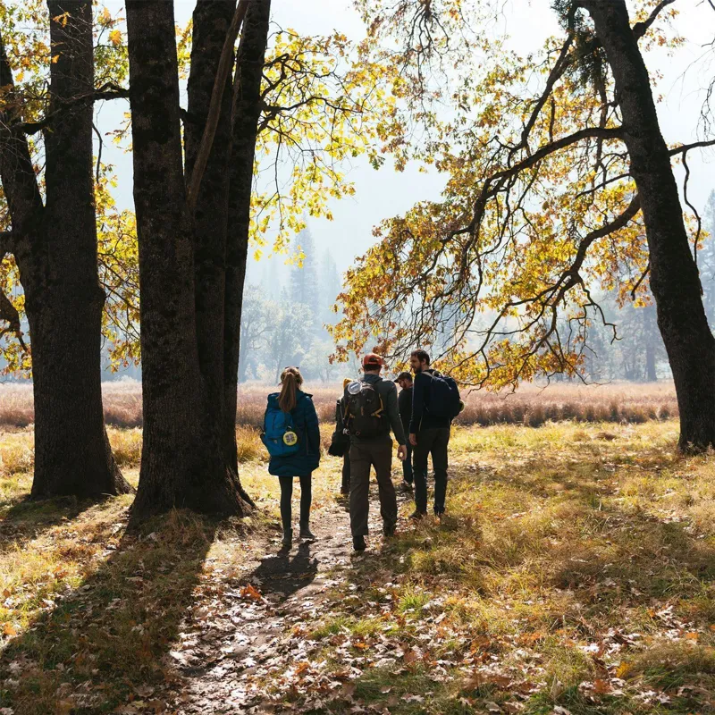 Luci Pro Outdoor Light with Mobile Charging-8