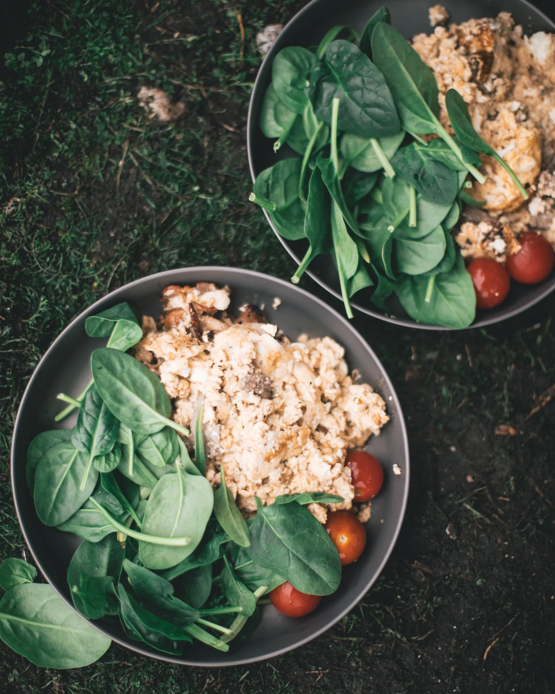 Lifeventure Titanium Plate