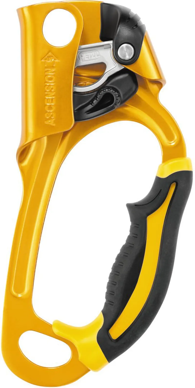 Petzl Ascension