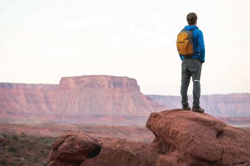 Osprey Daylite Plus Rucksack - Cosmic Red-6