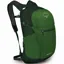 Osprey Daylite Plus Rucksack - Green Belt-Green Canopy