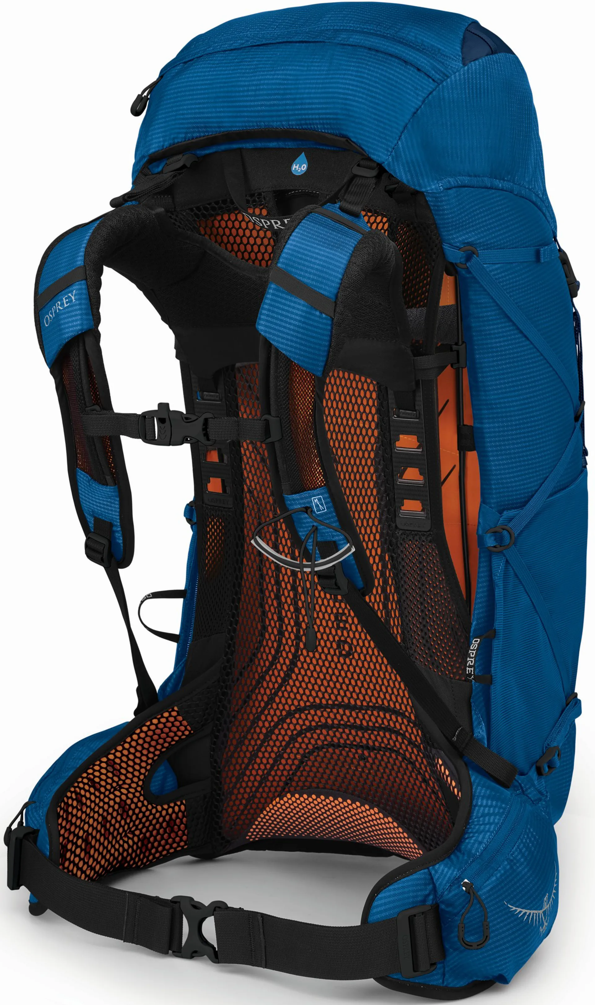 Osprey Mens Exos 38 Rucksack - Blue Ribbon