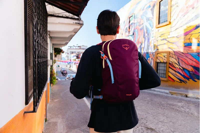 Osprey Daylite Rucksack - Moody Burgundy-11