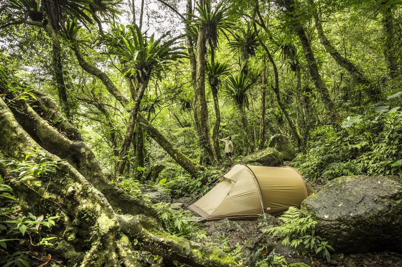 Fjallraven Abisko Lite 2 Tent - Pine Green-8