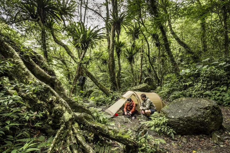 Fjallraven Abisko Lite 2 Tent - Pine Green-9
