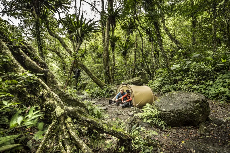 Fjallraven Abisko Lite 2 Tent - Pine Green-11