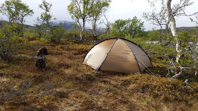 Hilleberg Niak Tent - Sand-4