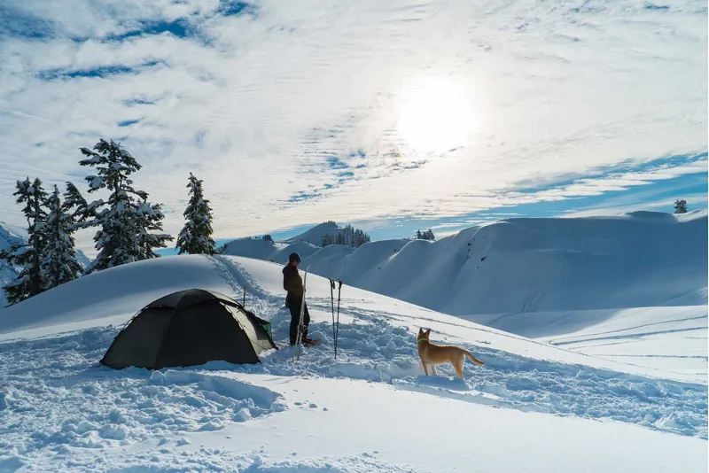 Hilleberg Staika Tent - Sand-3