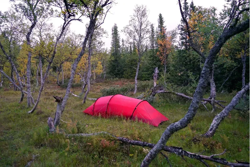 Hilleberg Anjan 3 GT Tent - Green - DEMO MODEL-6