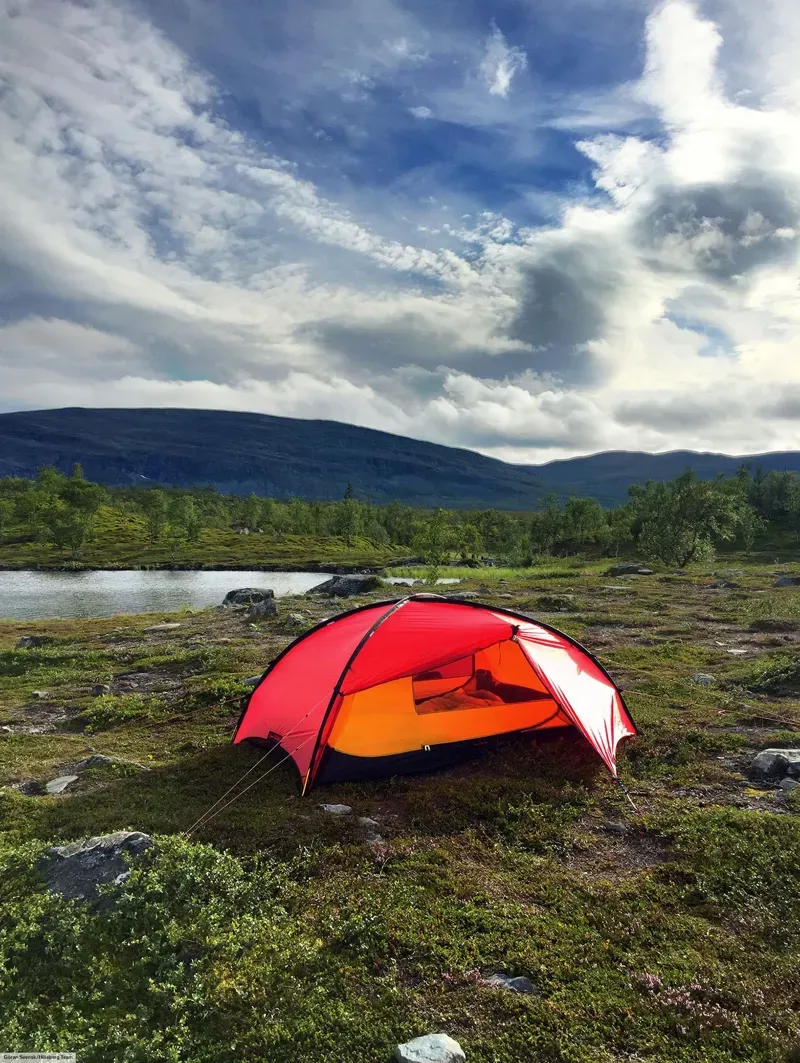 Hilleberg Rogen 2 Tent - Green - DEMO MODEL-6