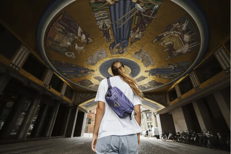 Osprey Transporter Waist Pack - Euphoria Purple-10