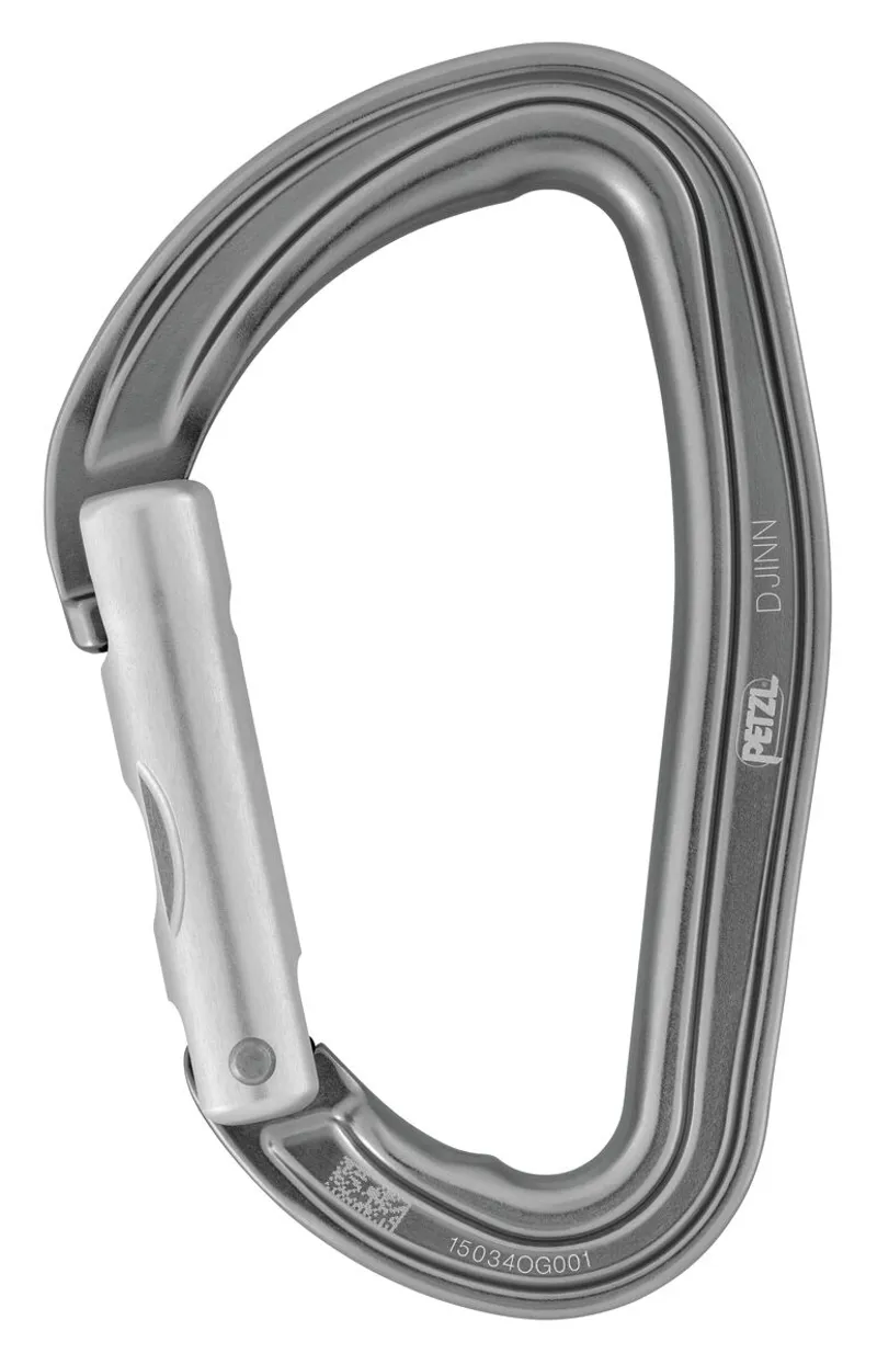 Petzl Djinn Straight Gate Carabiner - Gray