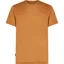 Icebreaker Mens Merino 125 Cool-Lite Sphere III Short Sleeved Tee - Trail
