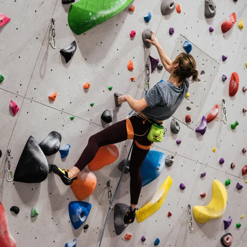 YY Vertical Chalk Bag - T-Rex-4