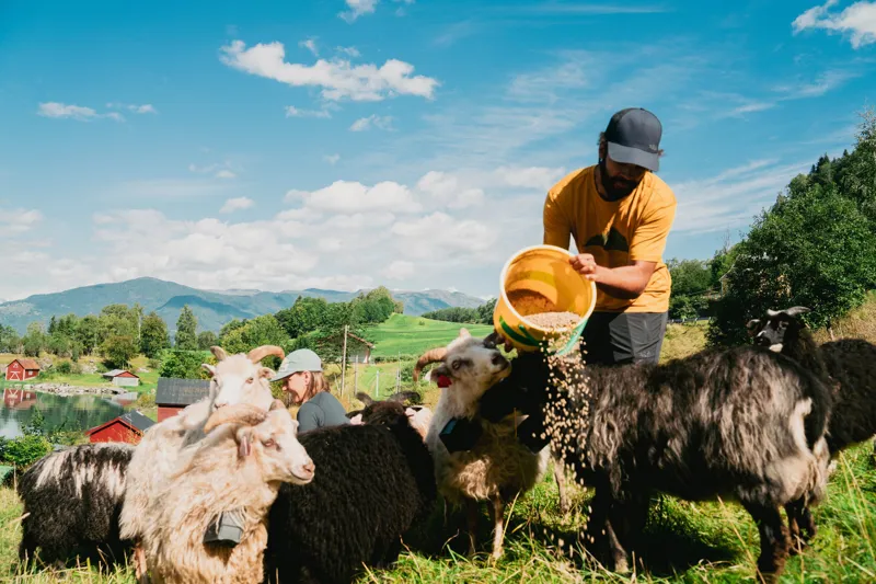 Rab Mens Crimp Reflection Tee - Sahara-3