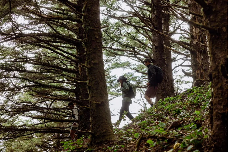 Rab Womens Hepton Pullover Hoody - Dark Fig Green-8