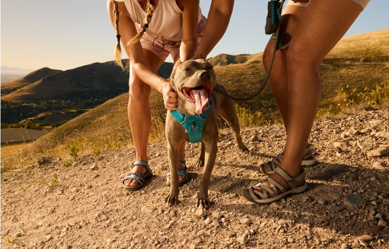 Teva Womens Tirra Sandals - Blue Multi-6