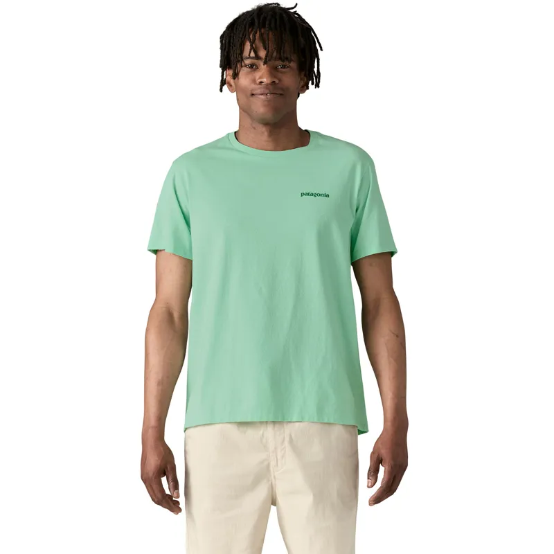 Patagonia Unisex Fitz Roy Icon Responsibili-Tee - Rinsed Green-1