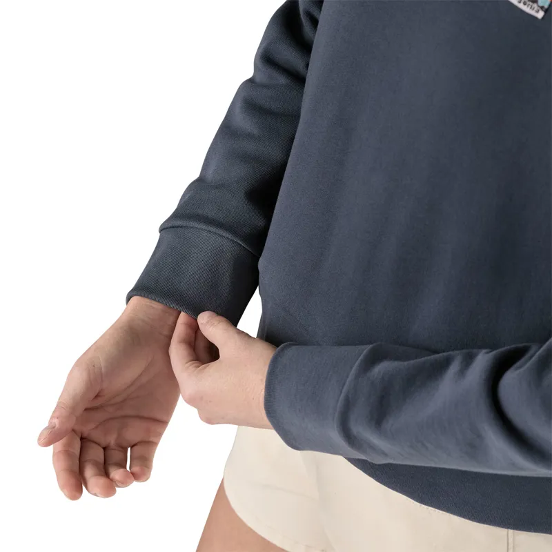 Patagonia Womens Regenerative Organic Certified Cotton Essential Hoody - Smolder Blue-4