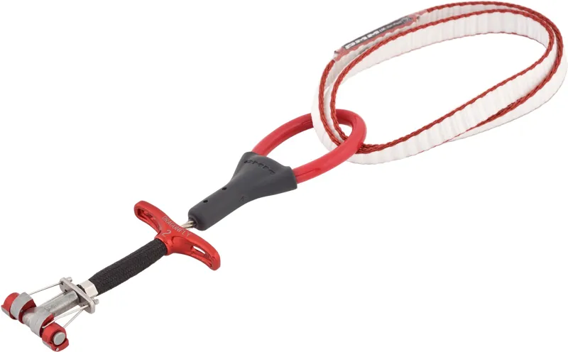 DMM Dragonfly Cam - 2