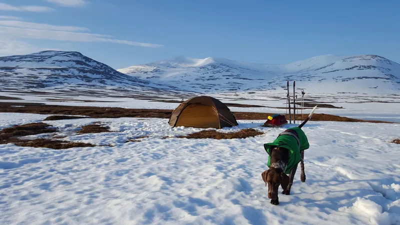 Hilleberg Allak 2 Tent - Sand-4