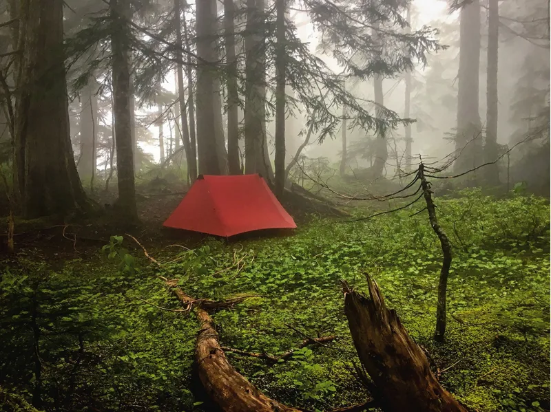 Hilleberg Anaris Tent - Green-12