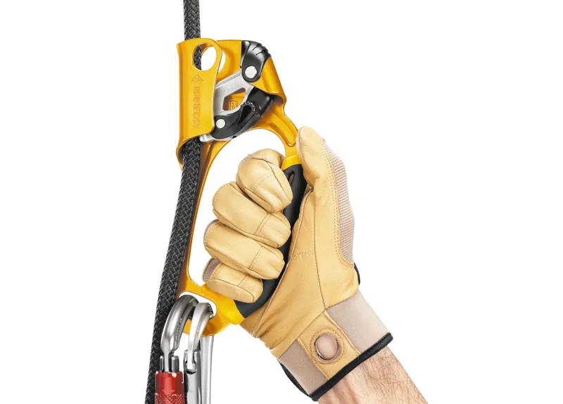 Petzl Ascension-2